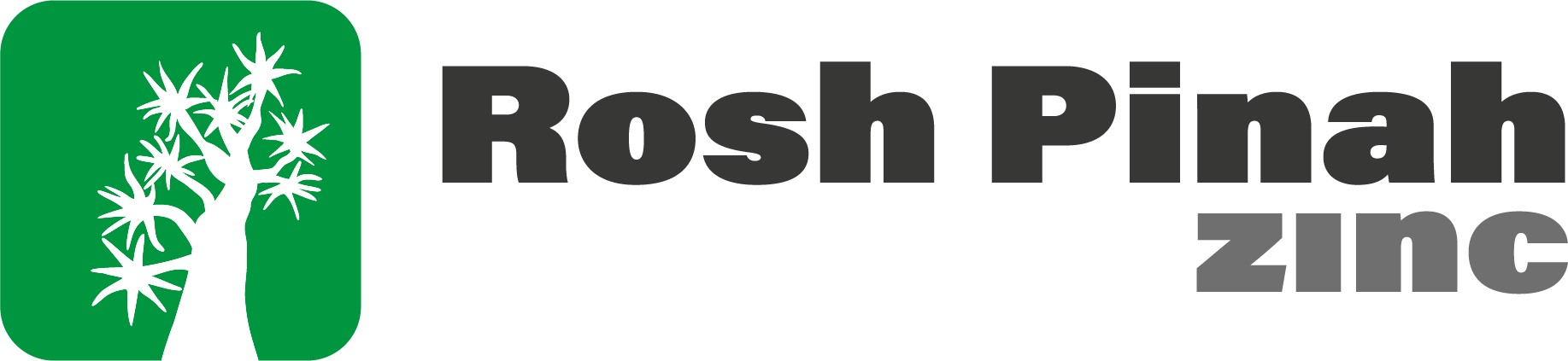 Rosh Pinah Zinc logo